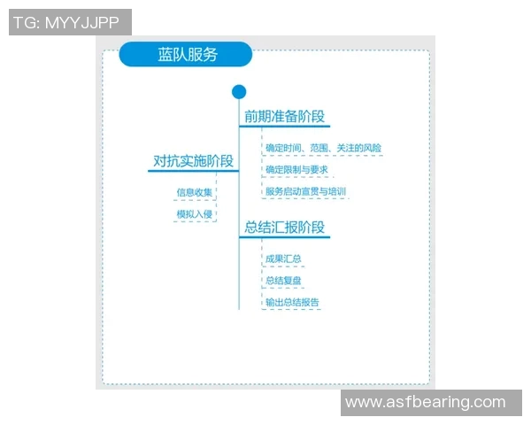 杭州飞盘队的战术解析与控制策略深度剖析