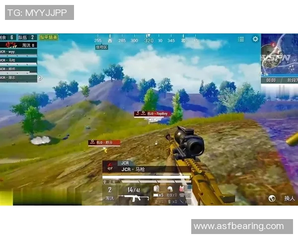 和平精英巨献：深入解析TES团队协作的成功秘诀与战术策略