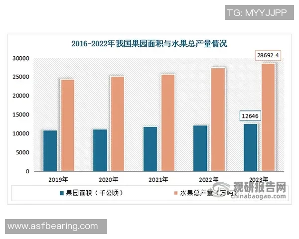 数据分析报告:全面解读V5在各项指标中的表现与趋势分析