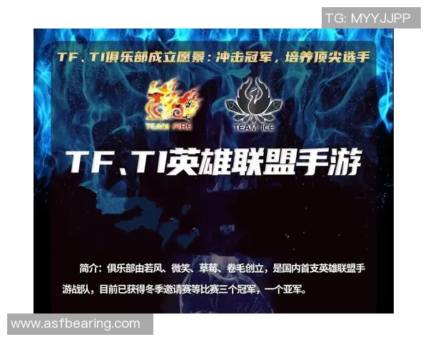 热议英雄联盟：WE战队灵活性变革带来的新机遇与挑战分析