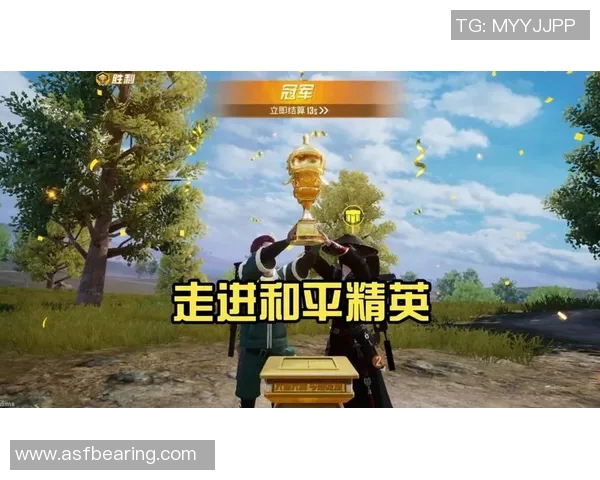 杨军专访揭秘和平精英成功背后的策略与创新之路