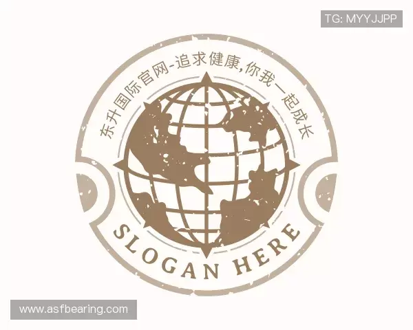 了解东升国际